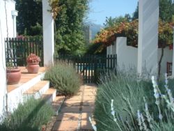 Sunny Lane, Apartments / Flats Accommodation in Franschhoek