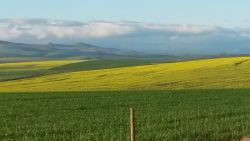 Swartberg Gastehuis, Guest Houses Accommodation in Caledon