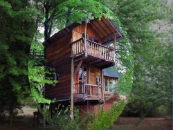 Sycamore Ave Treehouses & Guesthouse in Mooi River, Guest Houses Accommodation in Estcourt