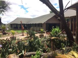 Tau Game Lodge in Madikwe, Game Lodges & Resorts Accommodation in Central Region (NW)