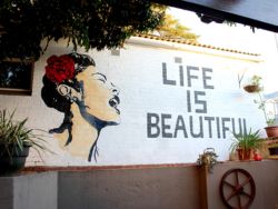 Terebinte in Glenwood, Bed and Breakfast Accommodation in Durban