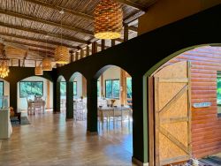 The Bamboo Lodge in Knysna, Guest Houses Accommodation in Knysna