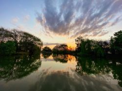 The Nugget Guest Lodge