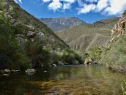 The Retreat at Groenfontein, Guest Houses Accommodation in Calitzdorp