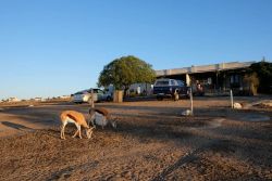 The Stables Cottages in Langebaan, Cottages / Chalets Accommodation in Hopefield