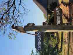 Thorn Tree Bush Camp in Dinokeng North, Lodges in Wildreservat & Resorts Unterkünfte in Hammanskraal