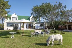 T'Niqua Stable Inn