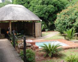 Tree Top Cottage & Safaris, Apartments / Wohnungen Unterkünfte in Mtunzini