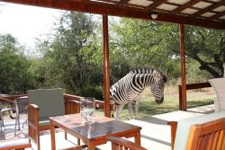 Turaco Lodge, Gastenhuizen Accommodatie in Marloth Park