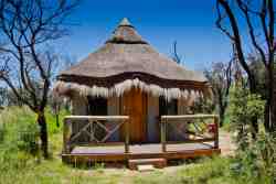 Wildside Safari Camp in Mookgopong (Naboomspruit), Game Lodges & Resorts Accommodation in Limpopo