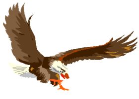 Eagles Nest B  B or Self catering