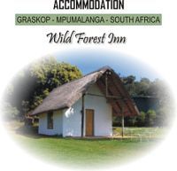 Wild Forest Inn