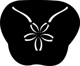 Macachula Beach Lodge