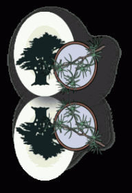 The Cedars Bed and Breakfast