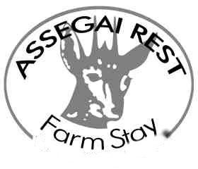 Assegai Rest 