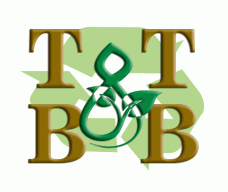 T & T Bed and Breakfast