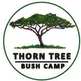 Thorn Tree Bush Camp