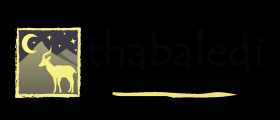 Thabaledi Game Lodge
