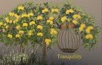 Lemon Tree Self-Catering