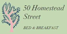 50 Homestead Street B&B JNB Int Airport