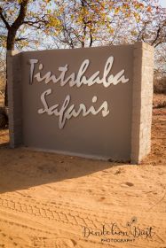 Tintshaba Safaris