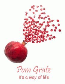 EcoDome Selfcatering