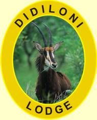 Didiloni Lodge