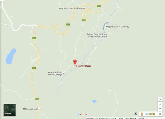 Map Forest Bird Lodge in Magoebaskloof  Valley of the Olifants  Limpopo  Suid-Afrika