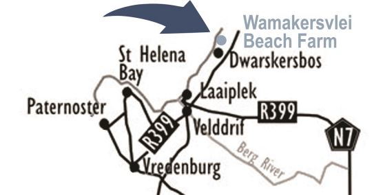 Map Wamakersvlei Beach Farm in Dwarskersbos  West Coast (WC)  Western Cape  South Africa
