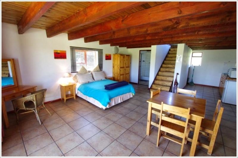 Kragga Kamma Game Park South Africa