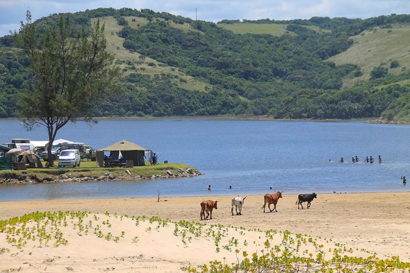 Bay Caravan Park Bay, South Africa