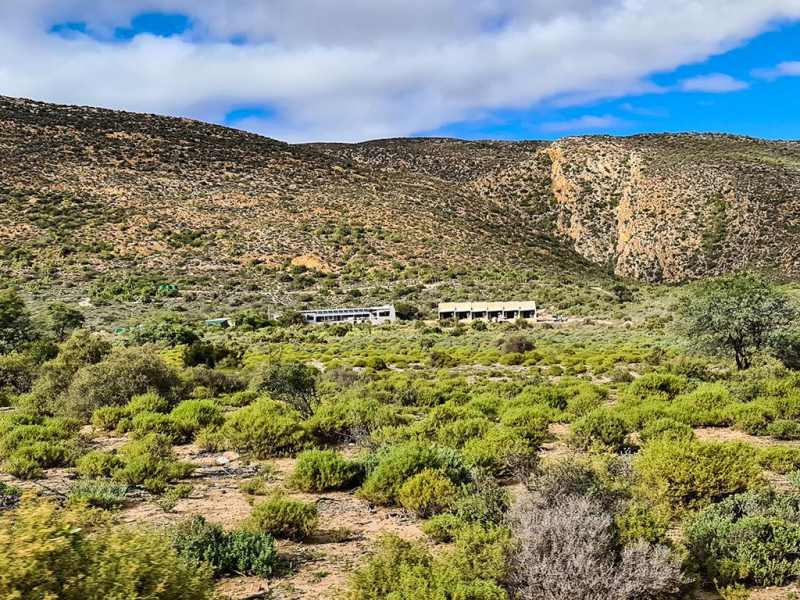 Rooiberg Wild Ladismith, South Africa