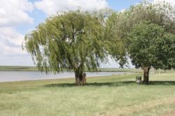 Rietspruit Dam 2