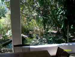 The garden
