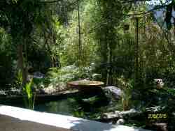 Garden view