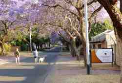Street view