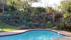 The Pool are in Winter with the aloes