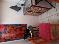 Mitzy Room