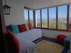 View from the sunny front room