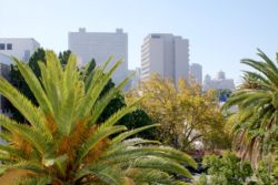 View from Balcony