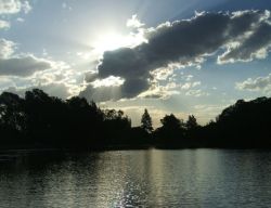 Homestead Lake at the bottom of the garden