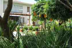 Garden and House