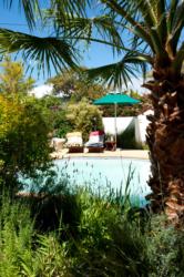 Guest Pool