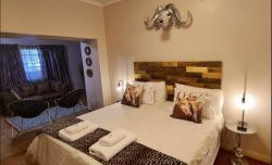 Luxury Suite with Sleeper Couch
