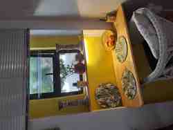 STUDIO