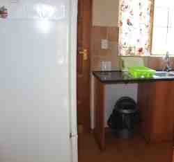 Fridge and freezer combo in kitchen