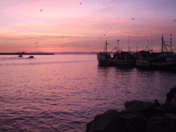 St Helena Bay Harbour