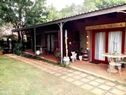 Front patio for Golden bamboo and Ilala