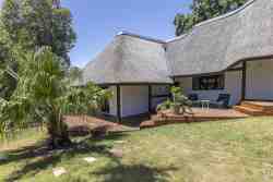 Wildebeest, deLuxe King suite, terrace