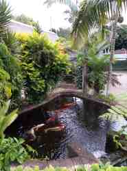Kio Ponds